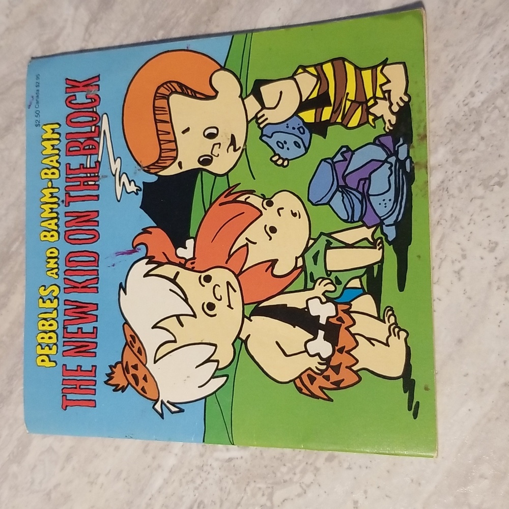 Pebbles and Bamm Bamm The new kid on the block book